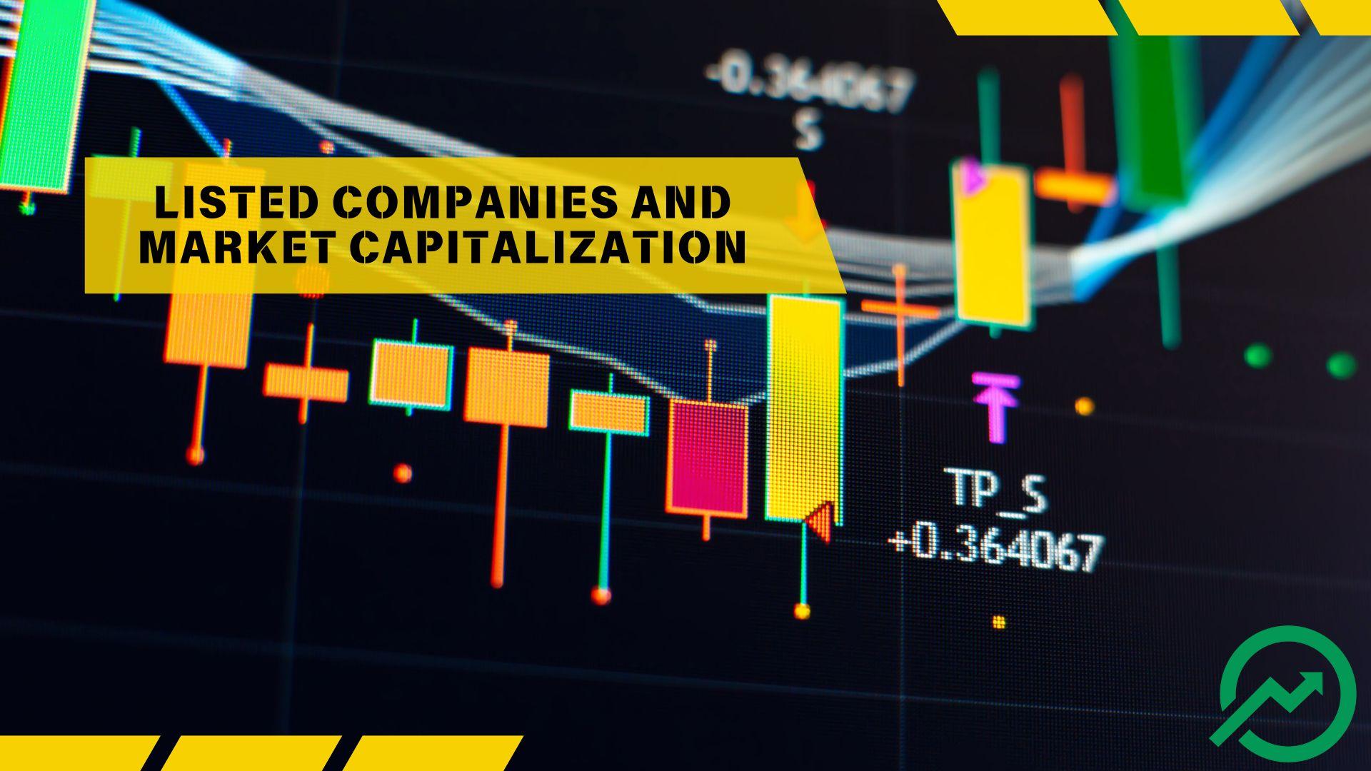 Analyzing the Trends in Listed Companies and Market Capitalization from 2022 to 2024