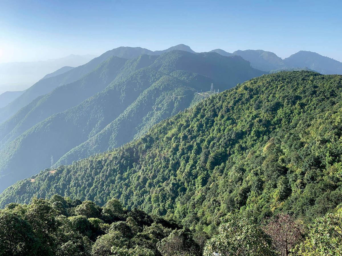 Forests at the Heart of Nepal’s Economic Revival Amid Multifaceted Challenges