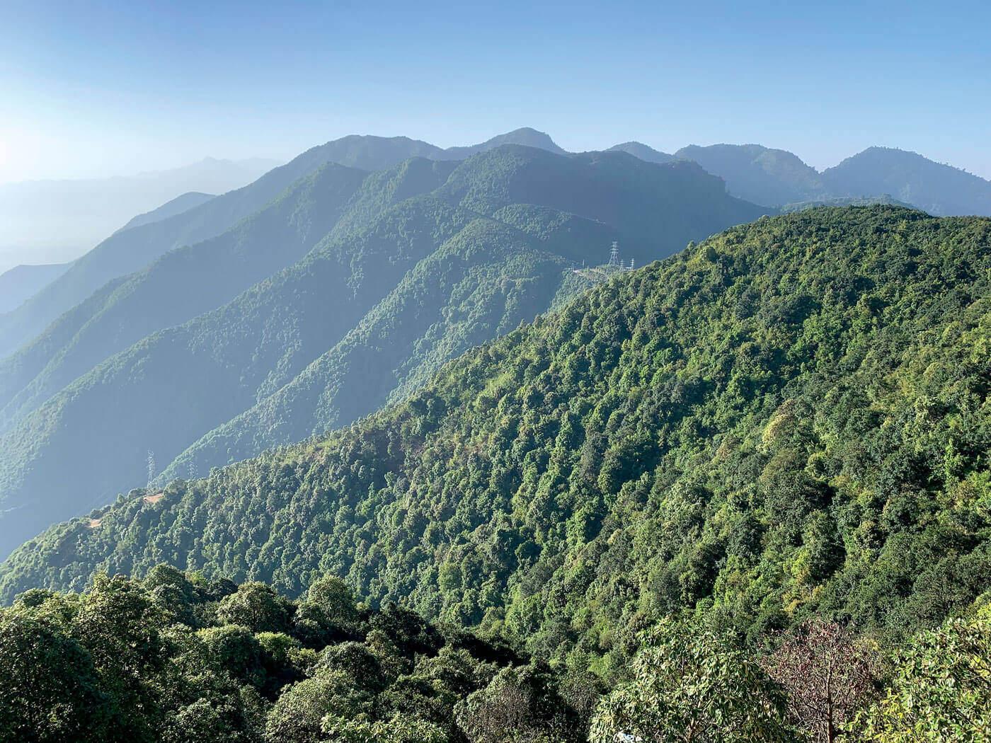 Forests at the Heart of Nepal’s Economic Revival Amid Multifaceted Challenges