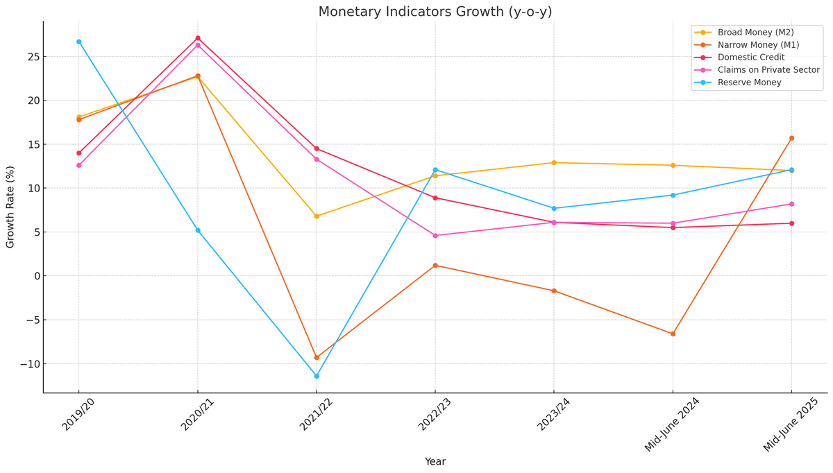 Monetary Indicators Reflect Gradual Stabilization in Nepal's Economy