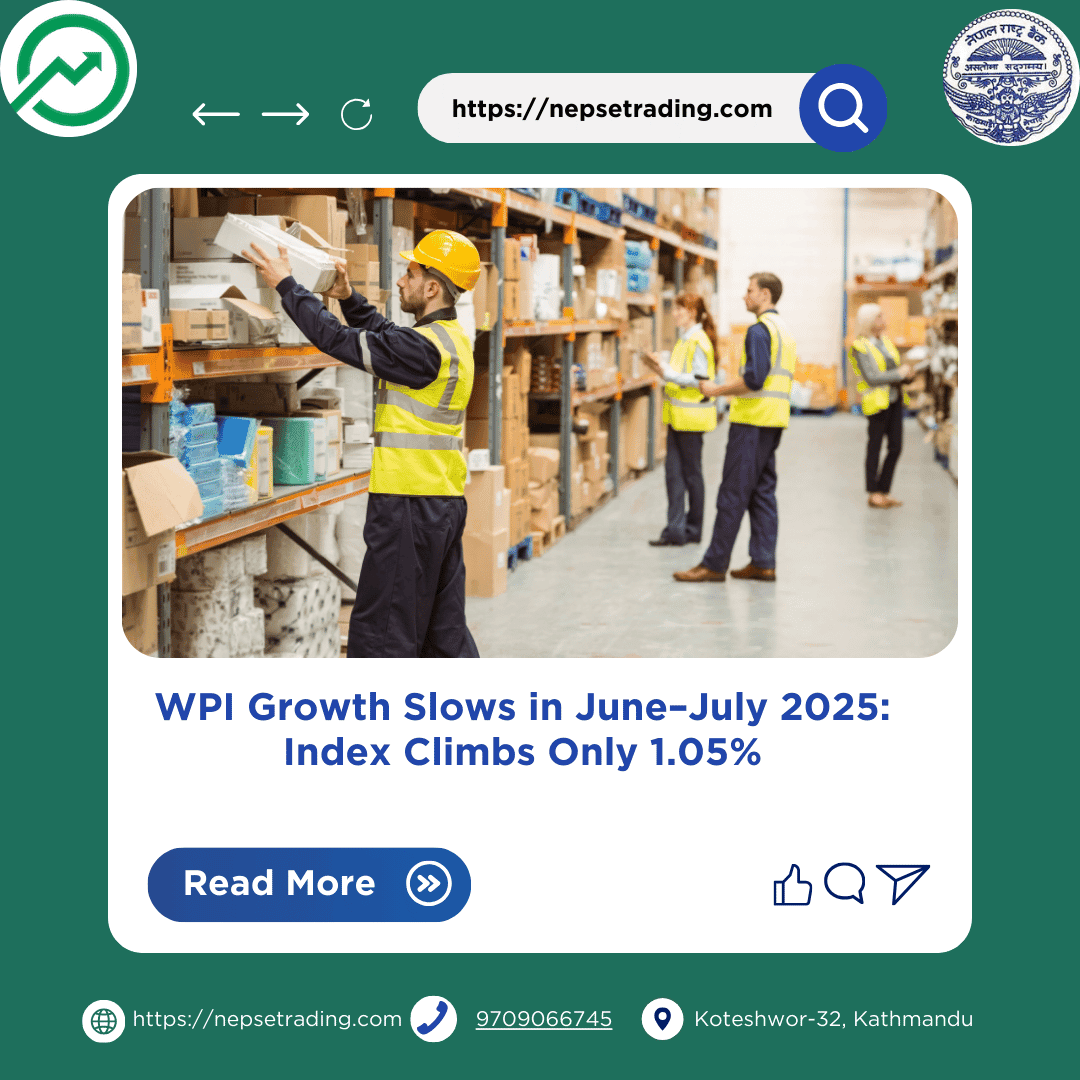 WPI Growth Slows in June–July 2025: Index Climbs Only 1.05%