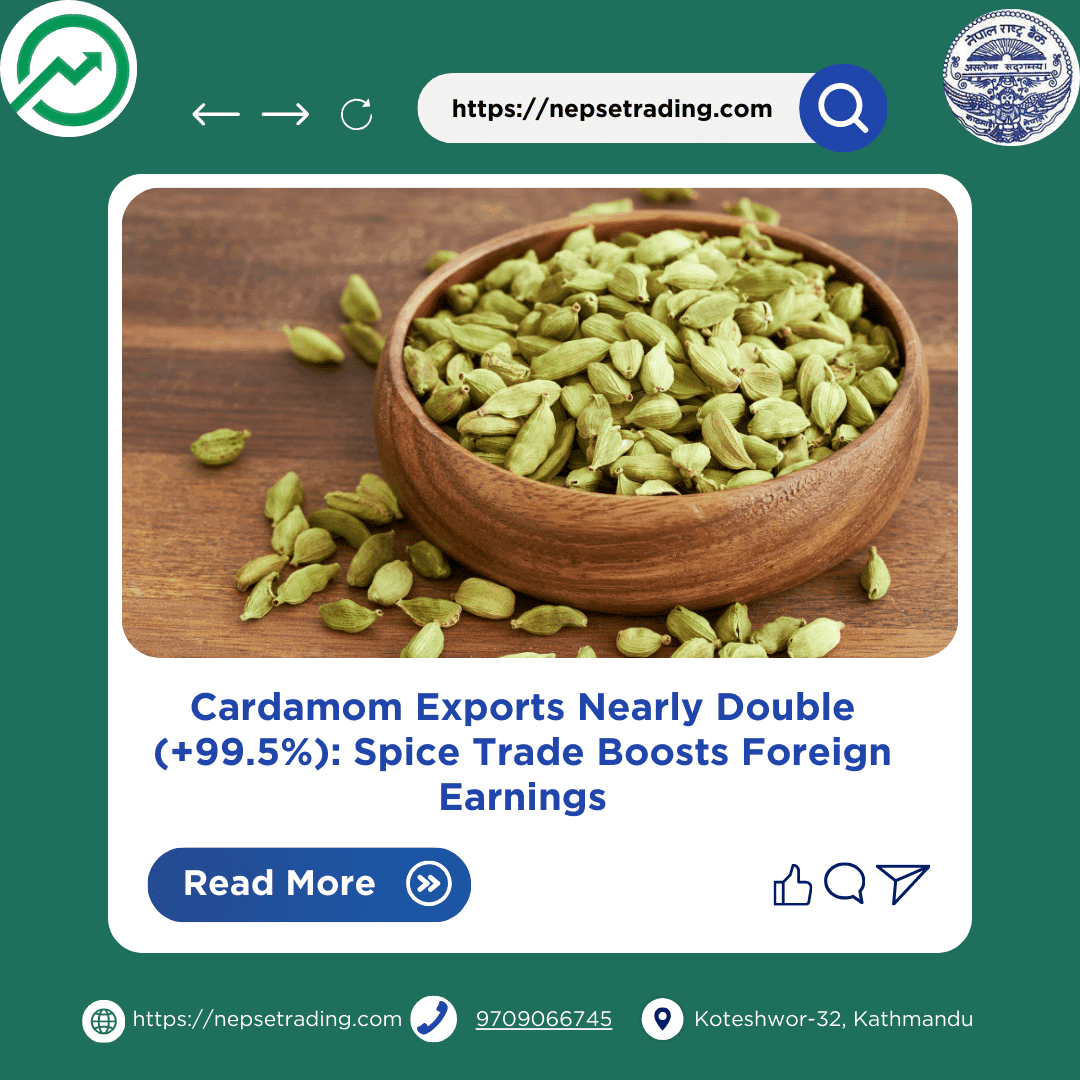 Cardamom Exports Nearly Double (+99.5%): Spice Trade Boosts Foreign Earnings