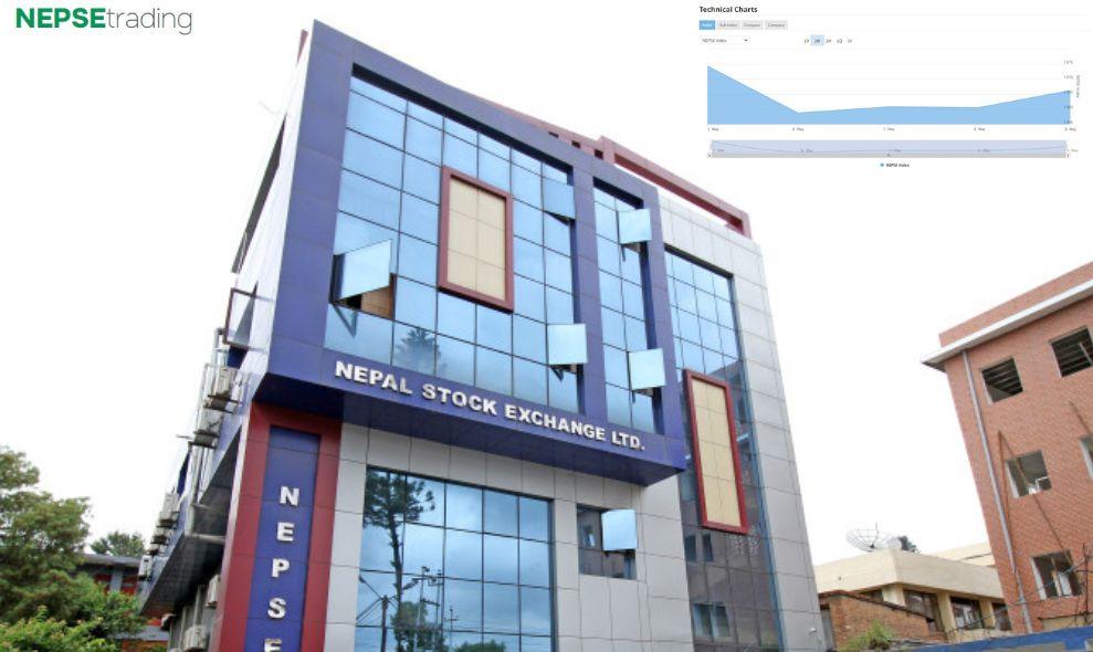The pain caused by NEPSE, how did the market look throughout the week ? 