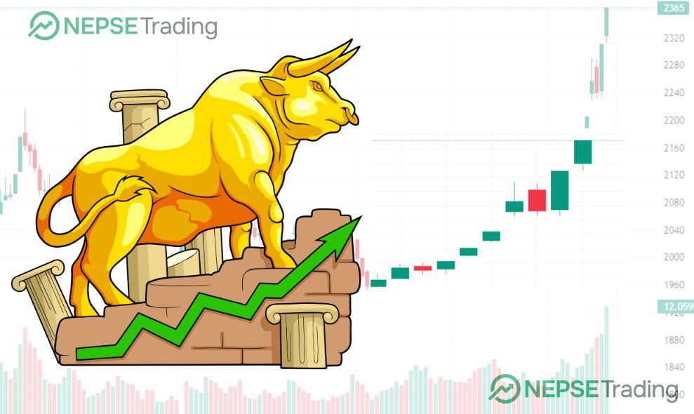 Continuous Rise in the Stock Market: Is a Bull Run Coming? 