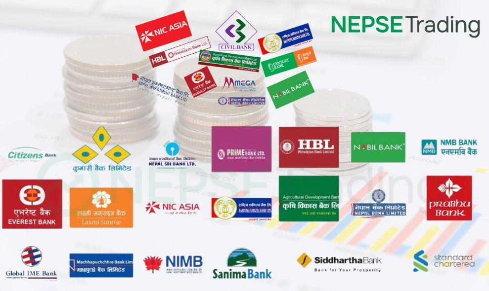 Analysis of Commercial Banks' Dividend Capacity and Financial Health: Financial Results for 2080/081