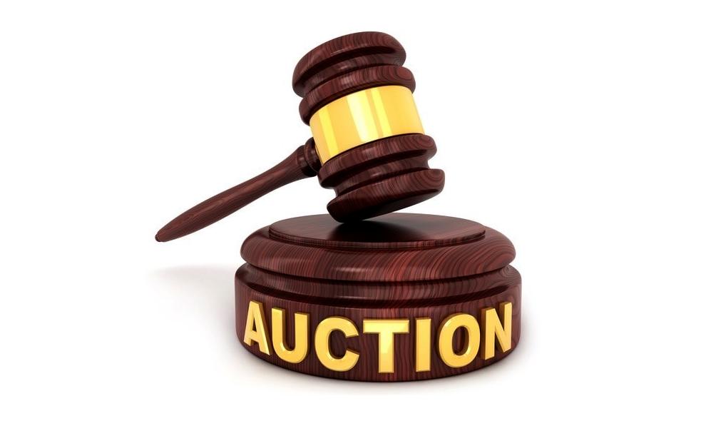 Ngadi Group Power to Auction 873,061 Shares