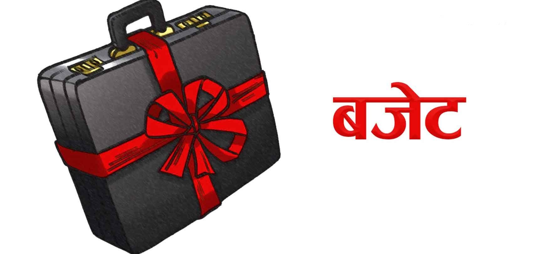 Upcoming Budget Must Win the Trust of the Private Sector: Experts
