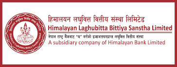 हिमालयन लघुवित्तको नाफा ३६९% ले बढ्यो, आम्दानी र लगानी दुवैमा उल्लेखनीय वृद्धि