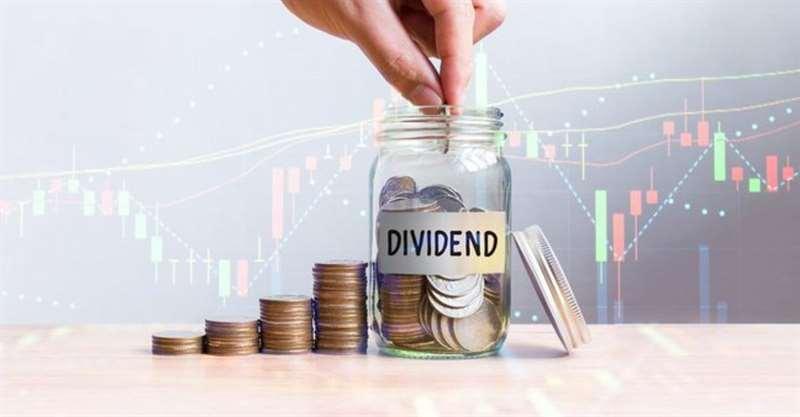 Everest Bank Declares 20% Dividend