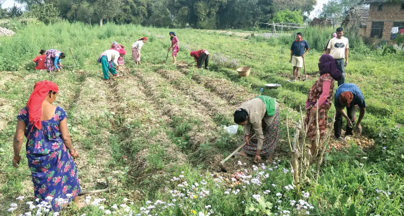 Money Came Home, the System Didn't: Why Returnee Migrants' Businesses Fail