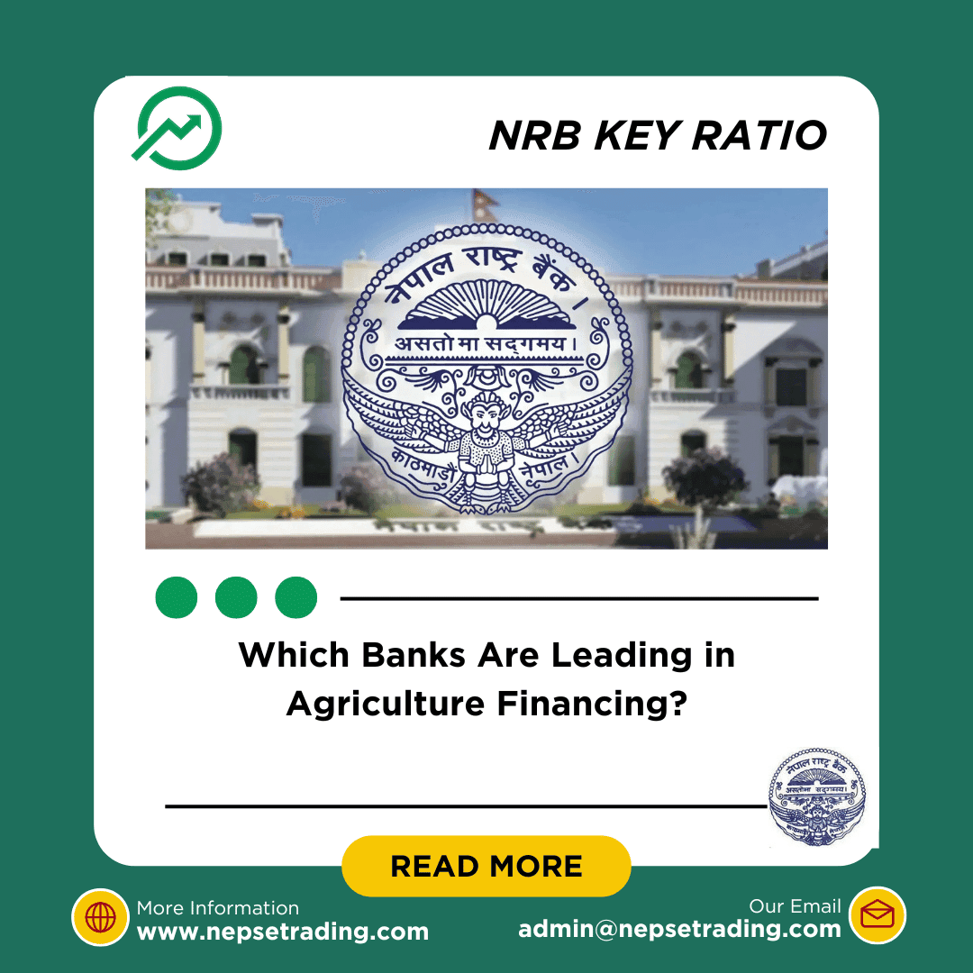 Which Banks Are Leading in Agriculture Financing?