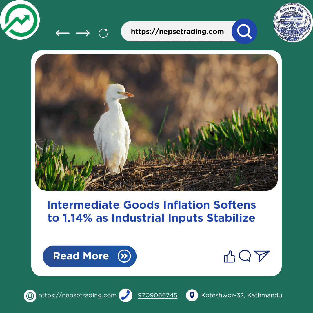 Intermediate Goods Inflation Softens to 1.14% as Industrial Inputs Stabilize