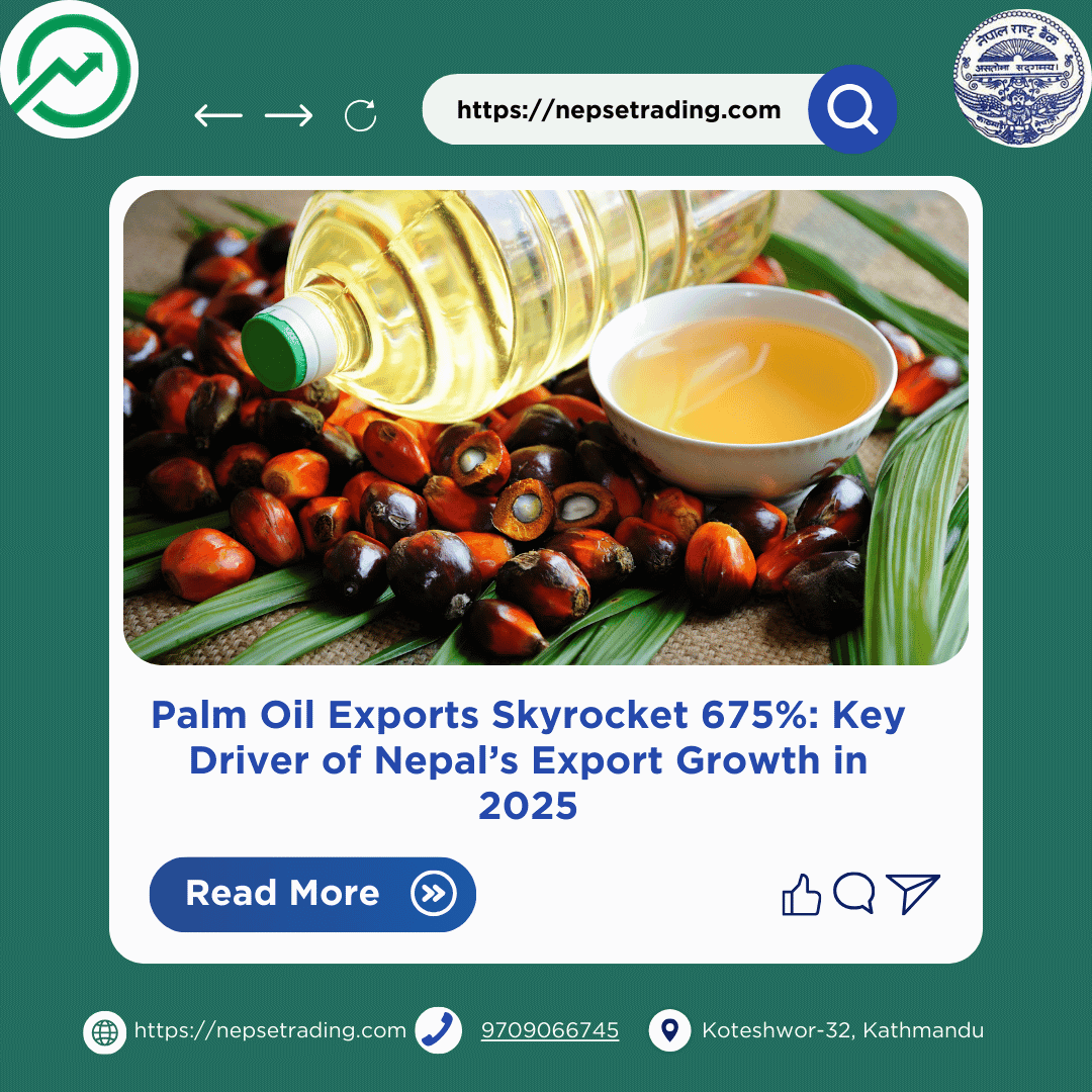 Palm Oil Exports Skyrocket 675%: Key Driver of Nepal’s Export Growth in 2025