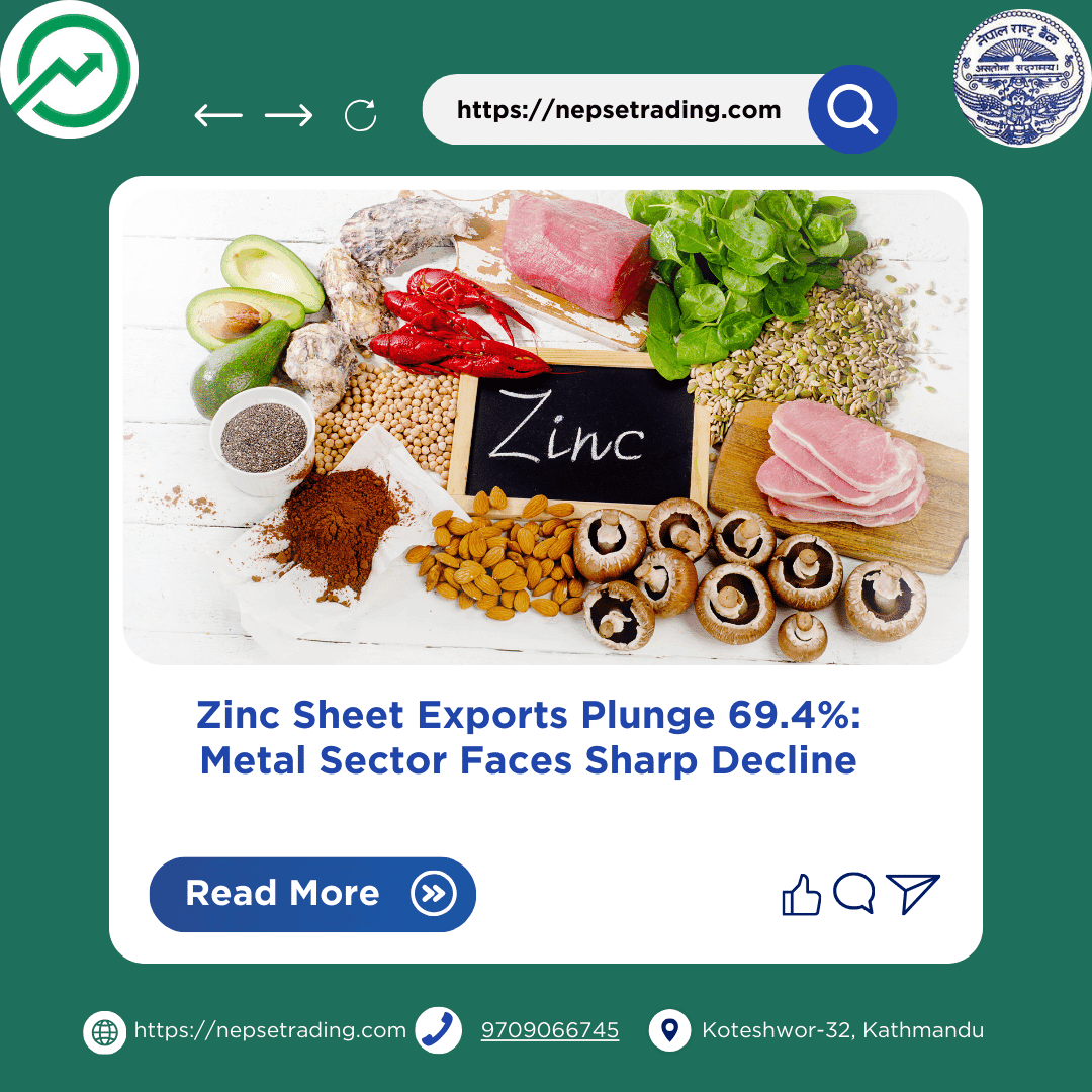 Zinc Sheet Exports Plunge 69.4%: Metal Sector Faces Sharp Decline
