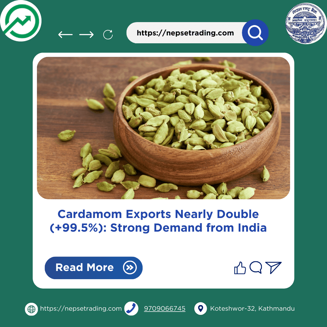 Cardamom Exports Nearly Double (+99.5%): Strong Demand from India