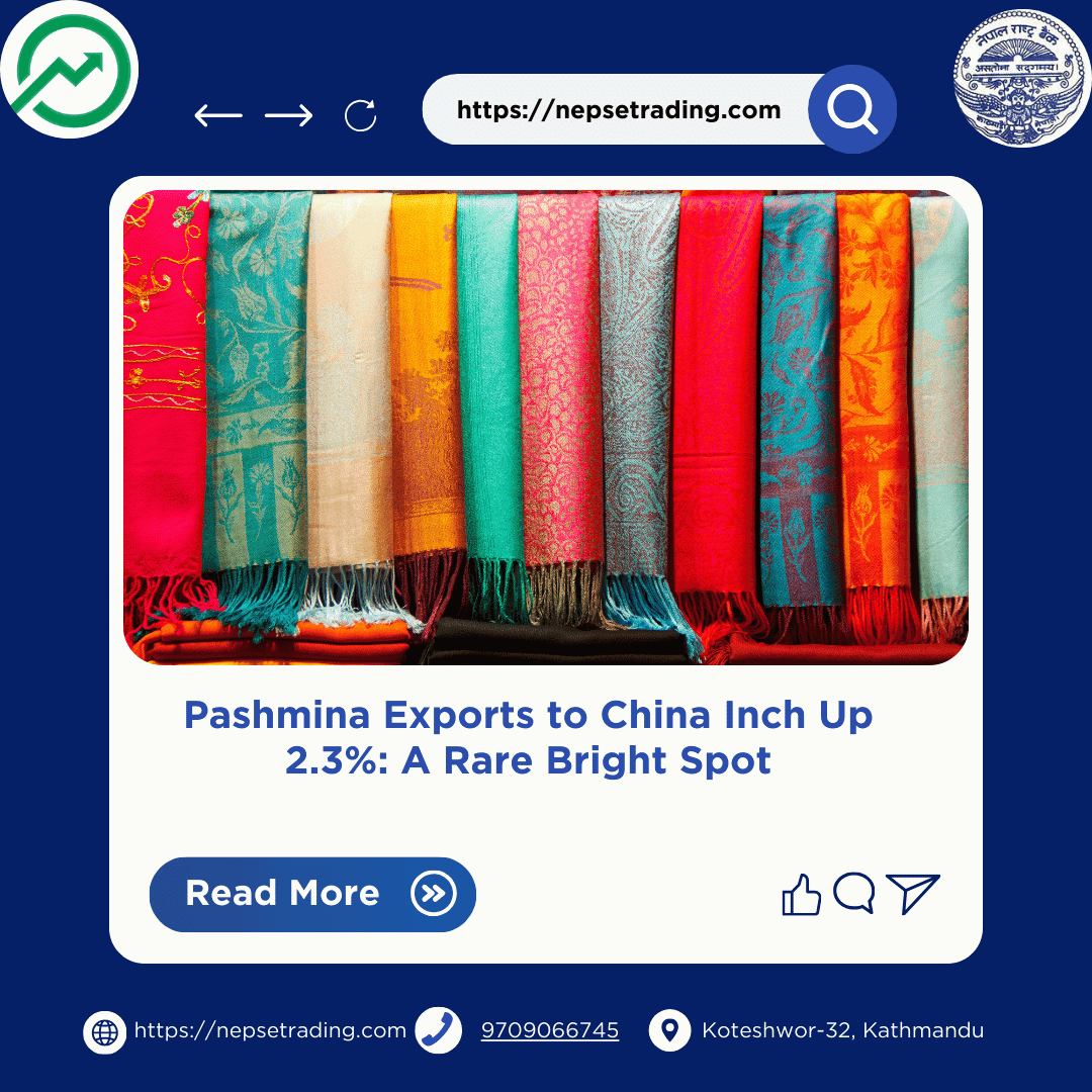 Pashmina Exports to China Inch Up 2.3%: A Rare Bright Spot