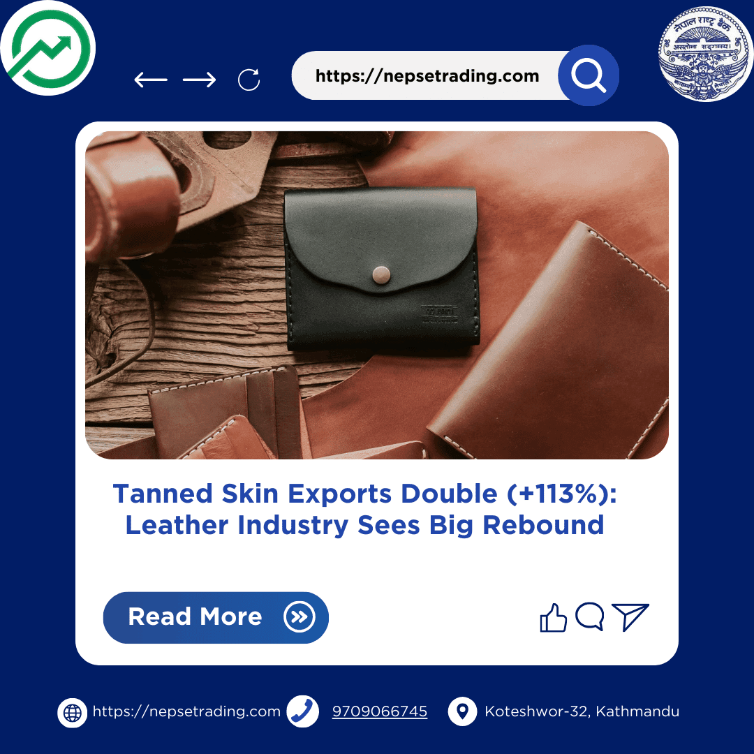 Tanned Skin Exports Double (+113%): Leather Industry Sees Big Rebound