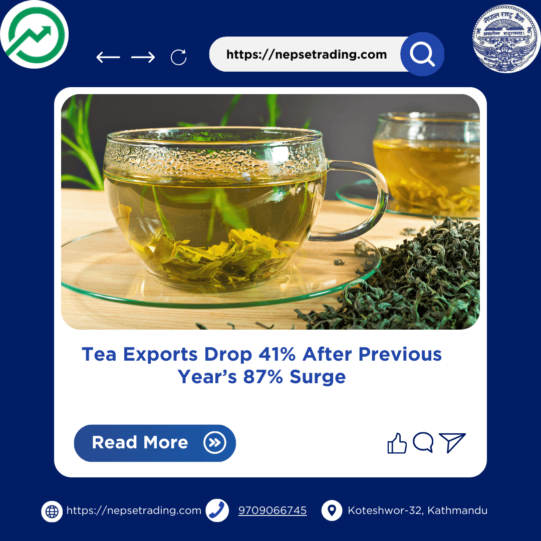 Tea Exports Drop 41% After Previous Year’s 87% Surge