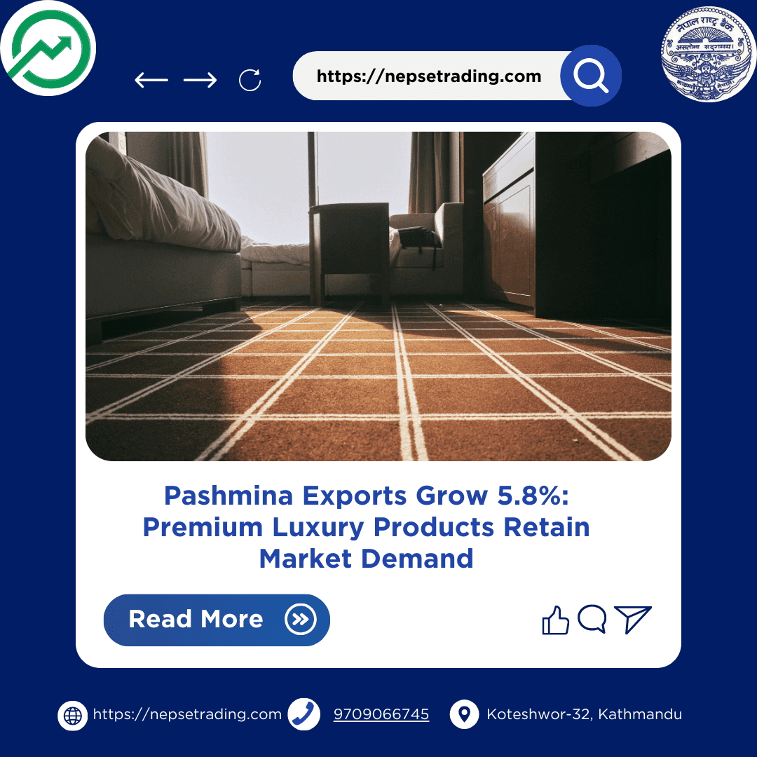 Pashmina Exports Grow 5.8%: Premium Luxury Products Retain Market Demand