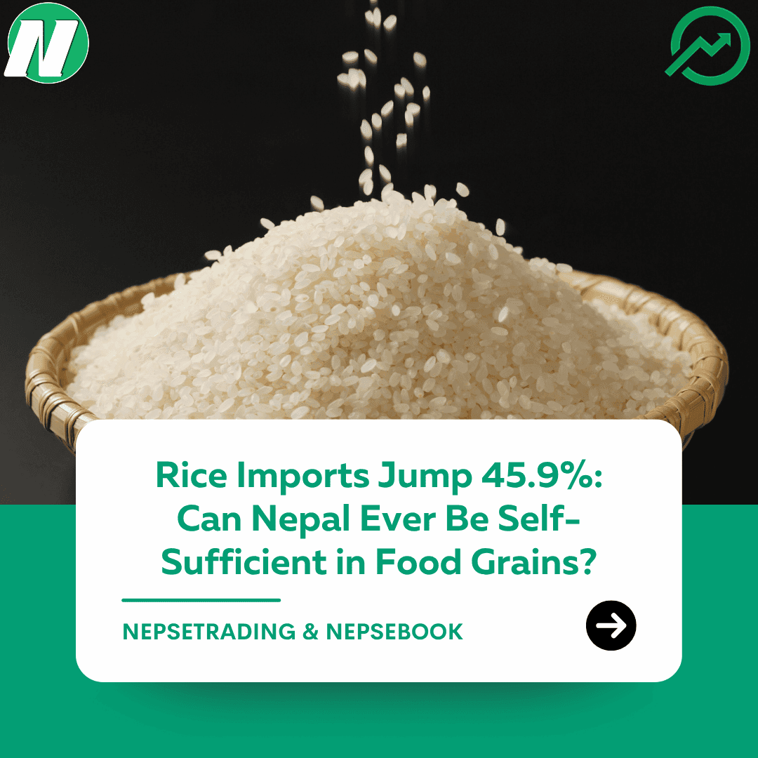 Rice Imports Jump 45.9%: Can Nepal Ever Be Self-Sufficient in Food Grains?