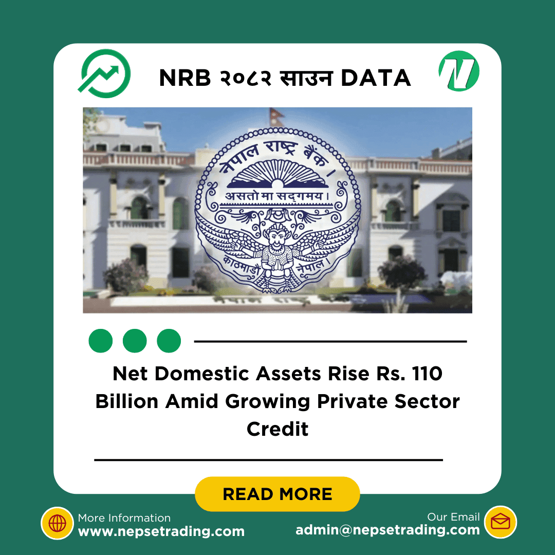 Net Domestic Assets Rise Rs. 110 Billion Amid Growing Private Sector Credit