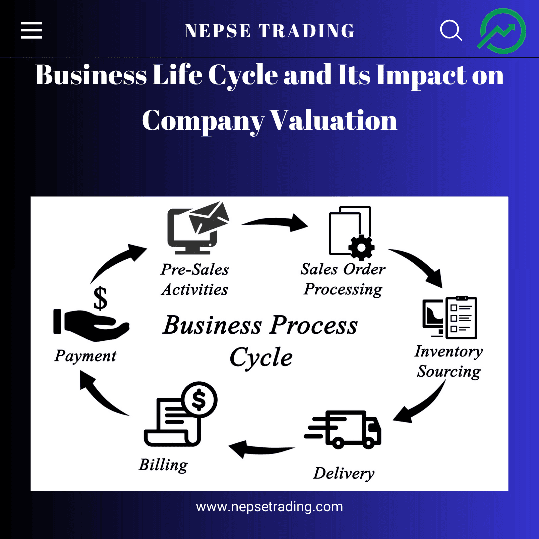 Business Life Cycle and Its Impact on Company Valuation