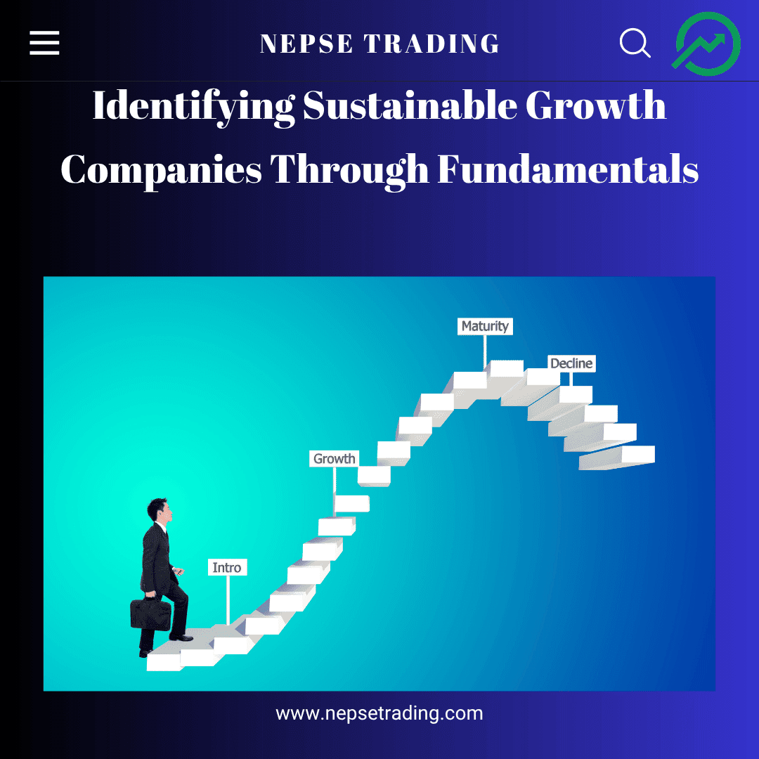 Identifying Sustainable Growth Companies Through Fundamentals