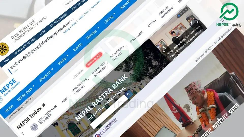 Proliferation of Regulators and Policy Paralysis: When Governance Turns into Complexity