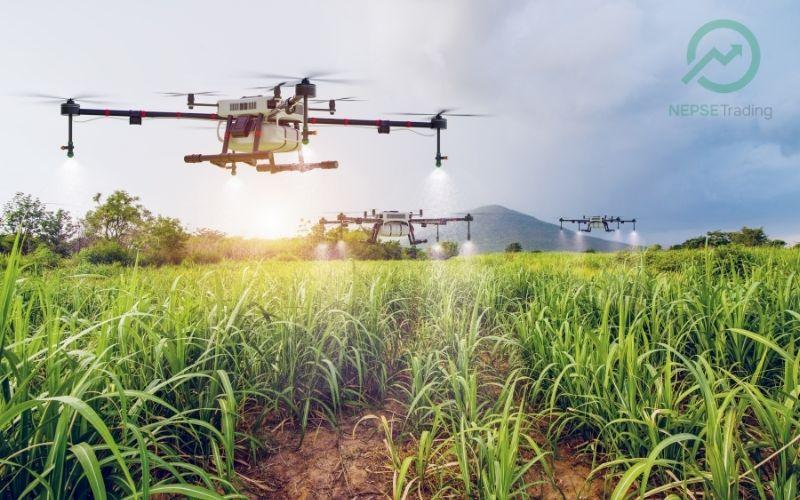 Farmer-Friendly Policies Essential for Agricultural Transformation