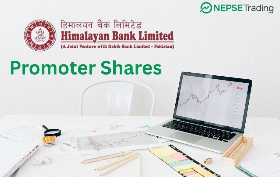 Himalayan Bank Puts Promoter Shares Up for Sale