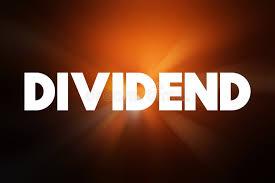 Citizen Investment Trust Announces 5% Bonus Shares and 8% Cash Dividend